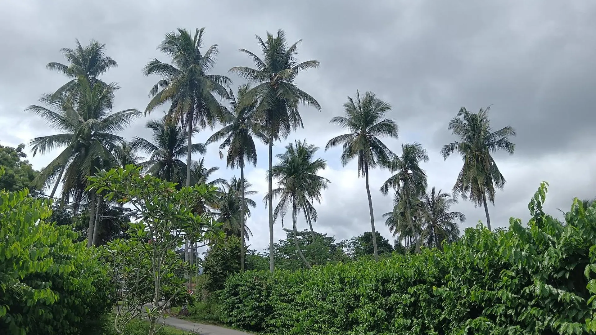Lim Garden Homes Balik Pulau 0*,