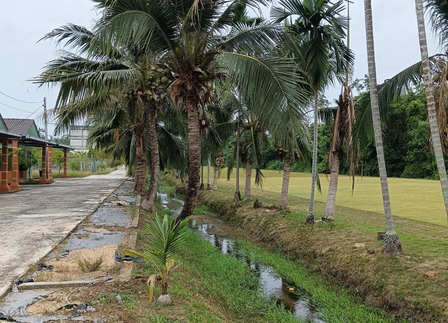 Chalet Lim Garden Homes Balik Pulau Malaysia